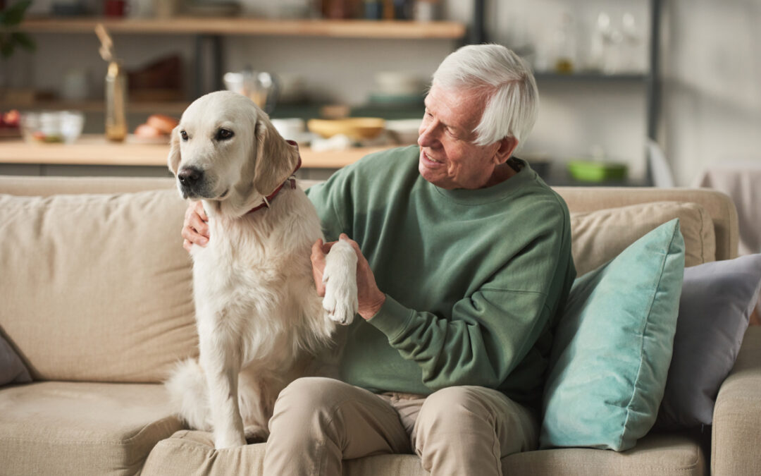 Conseils essentiels pour bien s’occuper de son chien